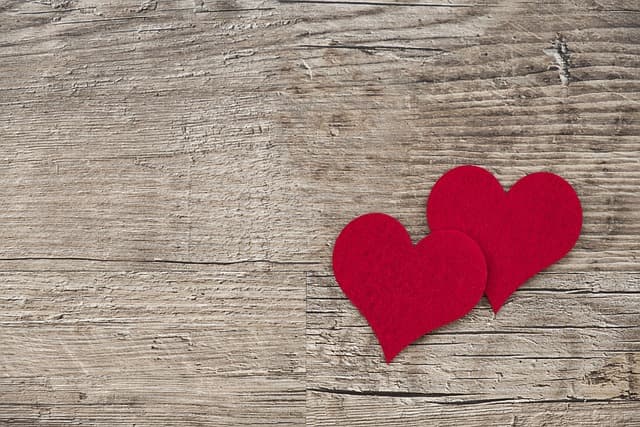 The Essential Guide to Top Coupons for Every Shopper